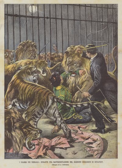 The Dramas of the Menageries, During a Performance in the Budapest Zoo by Achille Beltrame